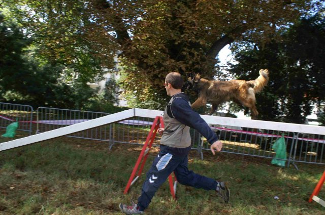 foire-haricots 2011-09-17et18